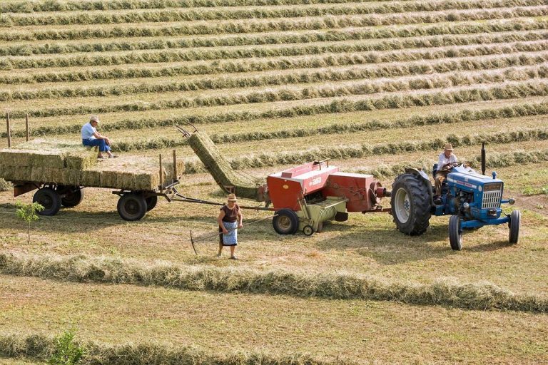 Nawigacje GPS w Rolnictwie - Zyski i Zastosowania w Optymalizacji Procesów