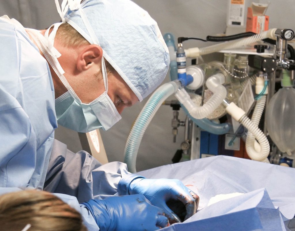 USG jąder Kraków - kompleksowe badanie diagnostyczne