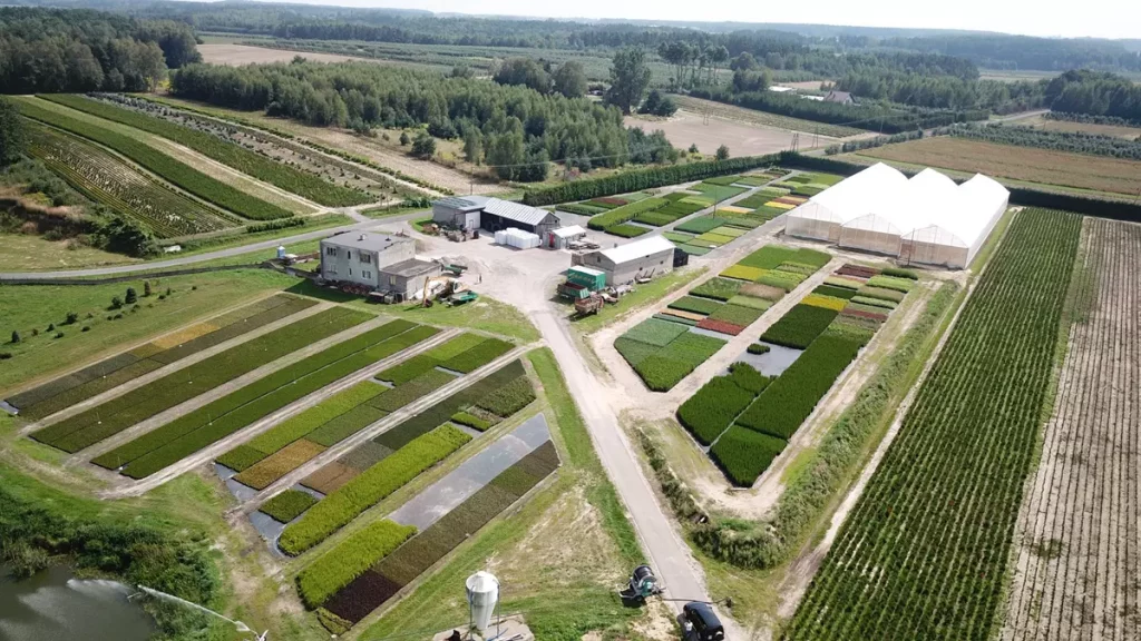 Szkółka roślin ozdobnych w warszawie – odkryj wyjątkowe gatunki do ogrodu